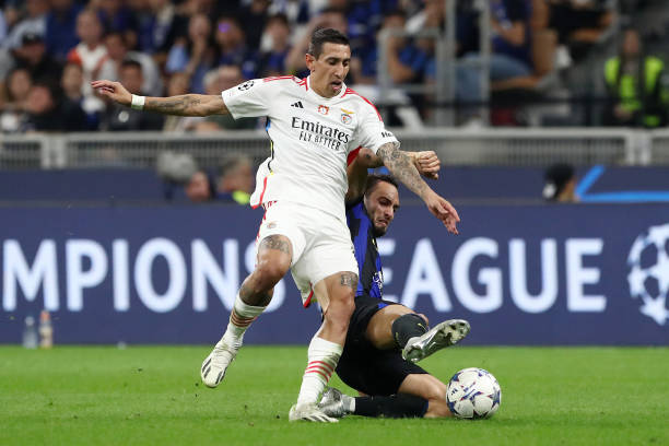 这将帮助球 这将帮助球